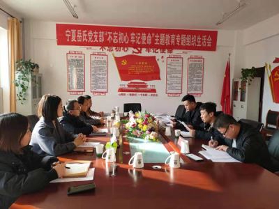 寧夏岳氏黨支部召開(kāi)“不忘初心，牢記使命”主題教育專題組織生活會(huì)